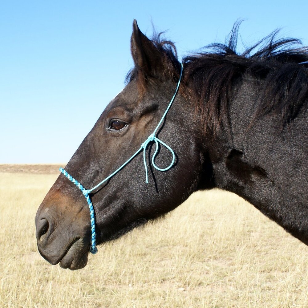 Handmade Braided Paracord Western Horse Training Cavesson/Caveson Noseband - Picture 2 of 7